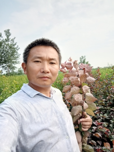 孩子爸的第一张照片--上杭交友网