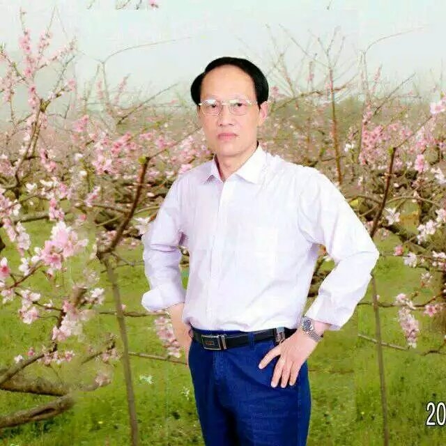 枫叶的第一张照片--上杭交友网